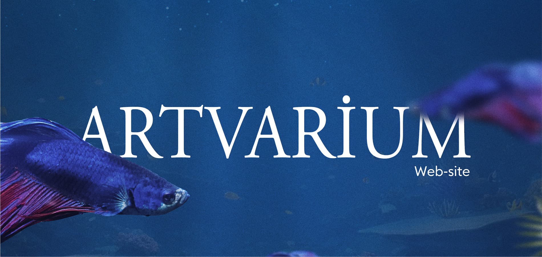 Разработка e-commerce сайта Artvarium.az