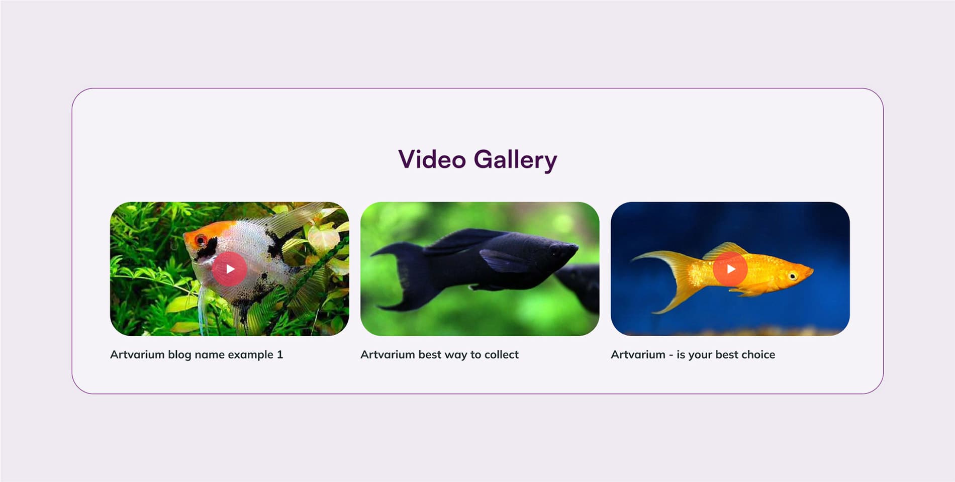 websiteProjectBottomImage
