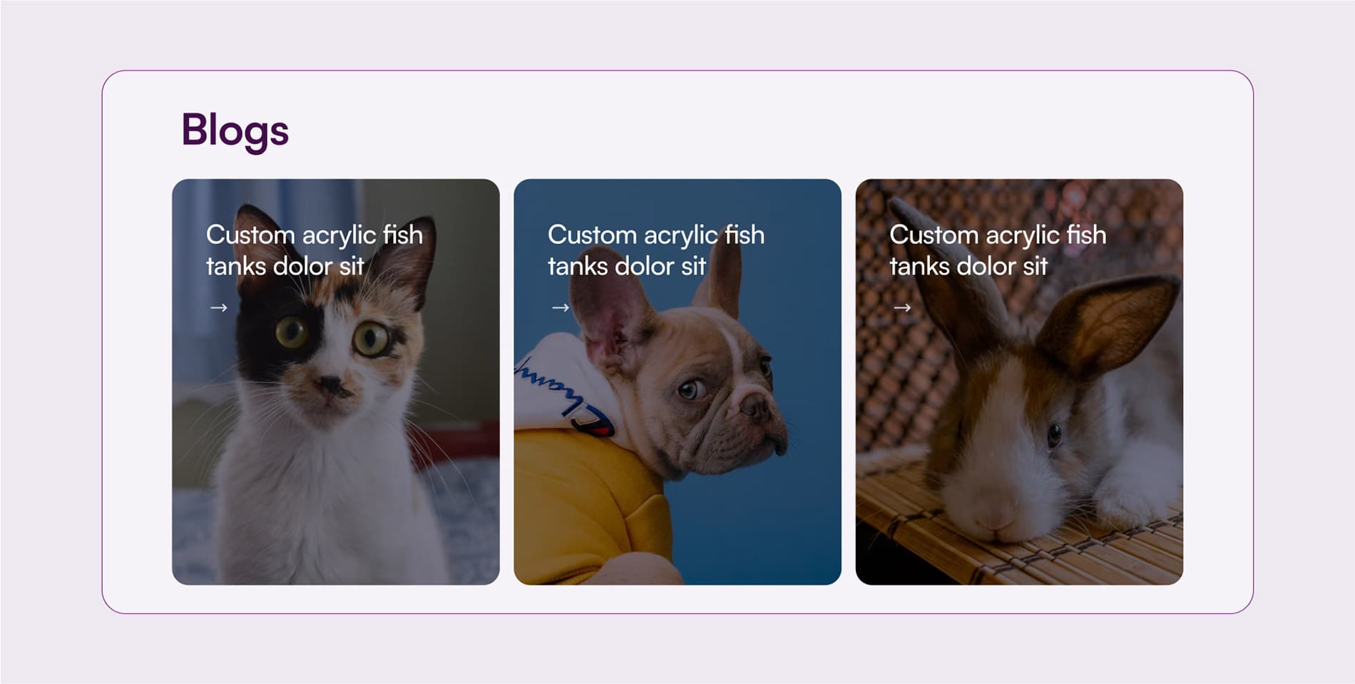 websiteProjectBottomImage